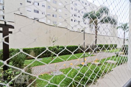 Vista de apartamento à venda com 2 quartos, 49m² em Vila Palmeiras, São Paulo