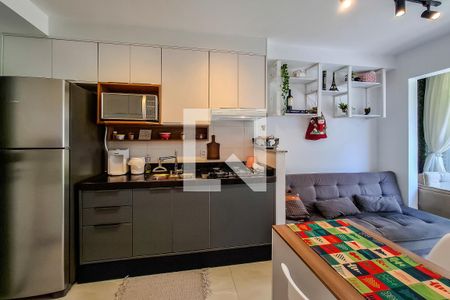 Sala/Cozinha de apartamento para alugar com 1 quarto, 30m² em Cambuci, São Paulo