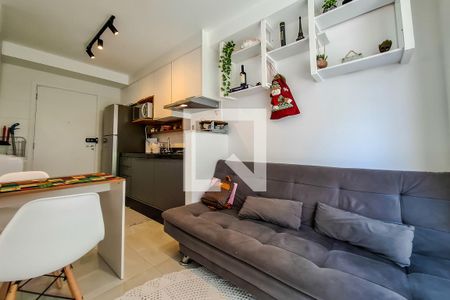 Sala/Cozinha de apartamento para alugar com 1 quarto, 30m² em Cambuci, São Paulo