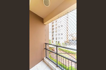 Varanda da Sala de apartamento para alugar com 3 quartos, 65m² em Jardim Cambui, Santo André