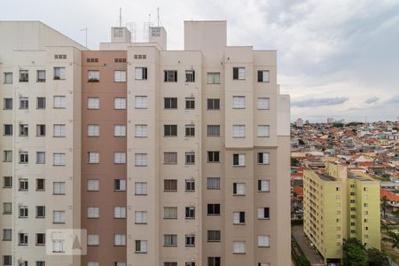 Vista de kitnet/studio para alugar com 1 quarto, 32m² em Vila Graciosa, São Paulo