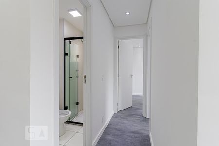 Corredor de apartamento para alugar com 2 quartos, 41m² em Cambuci, São Paulo