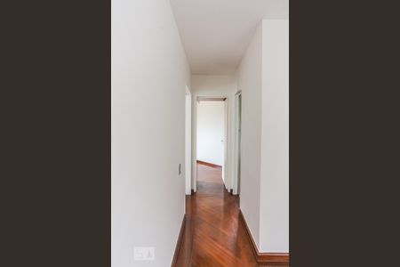 Corredor de apartamento para alugar com 2 quartos, 58m² em Vila Polopoli, São Paulo