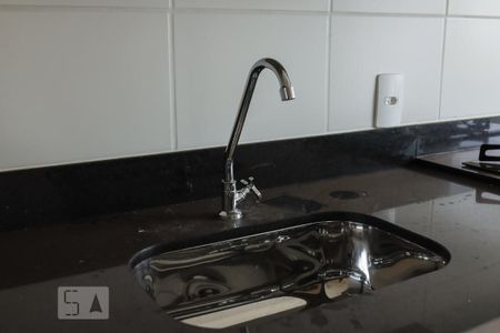 Pia de apartamento para alugar com 2 quartos, 55m² em Jardim Santa Cecilia - Bonfim Paulista, Ribeirão Preto