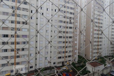 Vista de apartamento para alugar com 2 quartos, 50m² em Jardim Iris, São Paulo