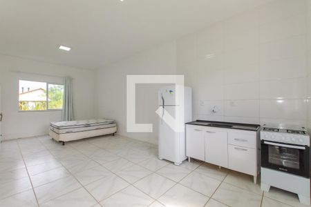 Cozinha de apartamento para alugar com 1 quarto, 40m² em Campeche, Florianópolis