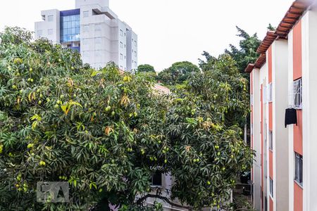 Vista do Quarto 2 de apartamento à venda com 2 quartos, 60m² em Serrano, Belo Horizonte