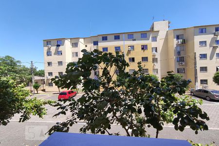  Vista do Quarto 2 de apartamento à venda com 2 quartos, 36m² em Mato Grande, Canoas