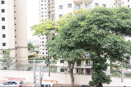 Vista do Quarto 1 de casa para alugar com 3 quartos, 250m² em Vila Primavera, São Paulo