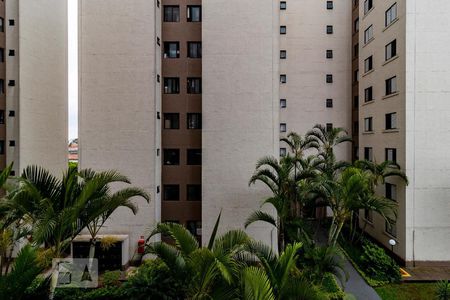 Vista da Sala de Jantar de apartamento para alugar com 2 quartos, 52m² em Vila Santa Catarina, São Paulo