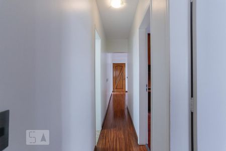 Corredor de apartamento para alugar com 3 quartos, 80m² em Alto da Lapa, São Paulo