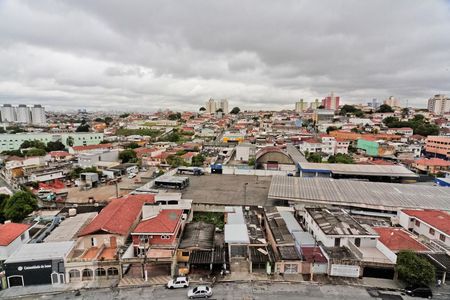 Vista de apartamento à venda com 1 quarto, 45m² em Vila Basileia, São Paulo