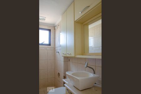 Banheiro de apartamento para alugar com 2 quartos, 50m² em Vila Mangalot, São Paulo