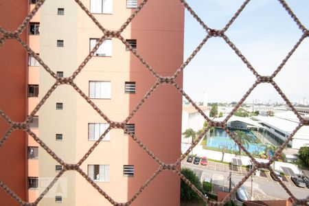 Vista da Suíte de apartamento à venda com 3 quartos, 75m² em Piratininga, Osasco