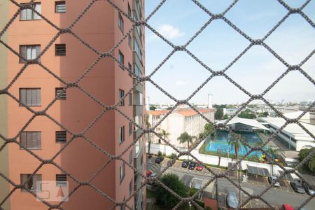 Vista da Sala de apartamento à venda com 3 quartos, 75m² em Piratininga, Osasco