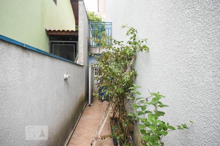 Casa para alugar com 350m², 5 quartos e 5 vagas Casa para alugar com 350m², 5 quartos e 5 vagasJardim