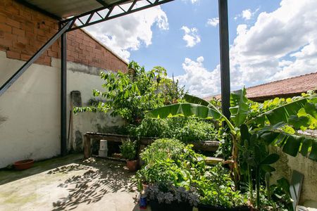 Casa para alugar com 260m², 6 quartos e 8 vagas Casa para alugar com 260m², 6 quartos e 8 vagasQuintal