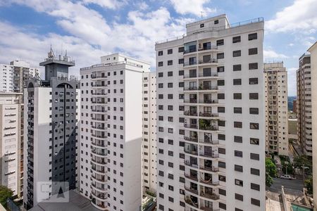 Sala - Varanda Vista de apartamento para alugar com 1 quarto, 50m² em Sumarezinho, São Paulo