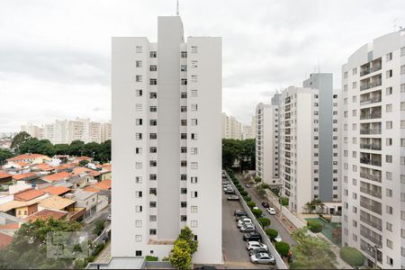 Vista do Quarto 1 de apartamento para alugar com 2 quartos, 55m² em Jardim Íris, São Paulo