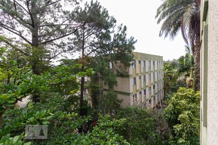 Vista Sala de apartamento para alugar com 2 quartos, 56m² em Jardim Adhemar de Barros, São Paulo