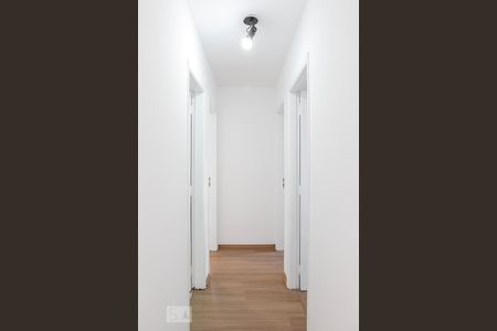 Corredor de apartamento para alugar com 2 quartos, 84m² em Pinheiros, São Paulo