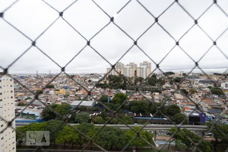 Vista do Quarto 1 de apartamento à venda com 3 quartos, 70m² em Vila Ema, São Paulo