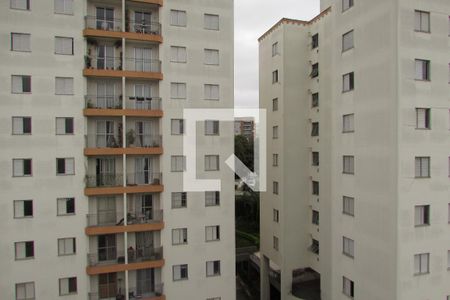 Vista de apartamento à venda com 2 quartos, 57m² em Rio Pequeno, São Paulo