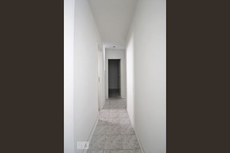 Corredor de apartamento para alugar com 3 quartos, 70m² em Jardim Santa Efigênia, São Paulo