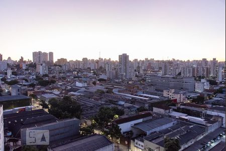 Vista do quarto de apartamento para alugar com 1 quarto, 36m² em Cambuci, São Paulo