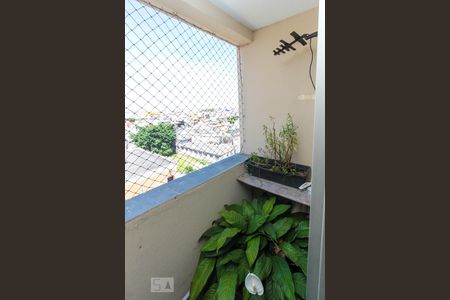 Varanda da Sala de apartamento à venda com 3 quartos, 73m² em Vila Cunha Bueno, São Paulo