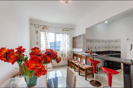 Sala de apartamento para alugar com 2 quartos, 33m² em Mirim, Praia Grande