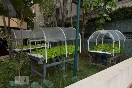 Apartamento à venda com 101m², 3 quartos e 2 vagas Apartamento à venda com 101m², 3 quartos e 2 vagasÁrea comum - Horta comunitária