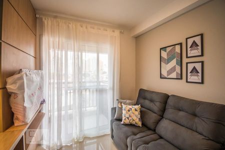 Sala de apartamento para alugar com 1 quarto, 36m² em Vila Eliza, Campinas