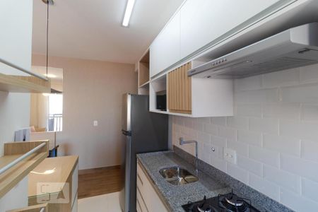 Cozinha de apartamento para alugar com 1 quarto, 36m² em Taquaral, Campinas