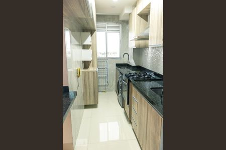 Cozinha e Área de Serviço de apartamento para alugar com 2 quartos, 50m² em Vila Rosa, Goiânia