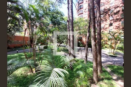 Vista da Sala de apartamento para alugar com 3 quartos, 97m² em Jardim Marajoara, São Paulo