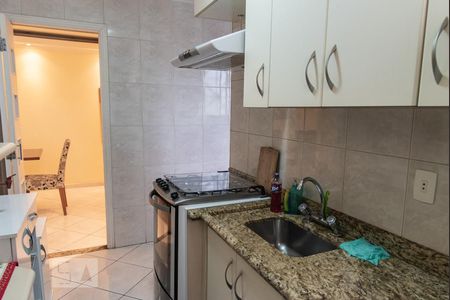 Cozinha de apartamento à venda com 2 quartos, 62m² em Vila Santa Teresa (zona Sul), São Paulo