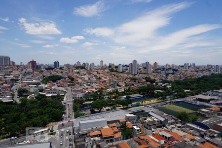 Vista da Sala de apartamento à venda com 2 quartos, 33m² em Vila Pierina, São Paulo