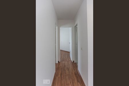 Corredor de apartamento para alugar com 2 quartos, 56m² em Vila Indiana, São Paulo