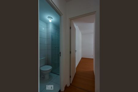 Hall Dormitórios de apartamento para alugar com 2 quartos, 40m² em Vila Moreira, São Paulo