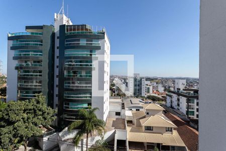 Vista da sala  de apartamento para alugar com 2 quartos, 65m² em Castelo, Belo Horizonte