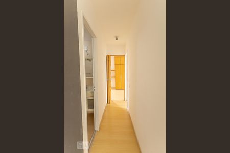 Corredor de apartamento para alugar com 2 quartos, 69m² em Vila Pompéia, São Paulo