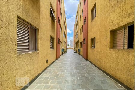 Apartamento para alugar com 80m², 3 quartos e 1 vaga Apartamento para alugar com 80m², 3 quartos e 1 vagaÁrea comum