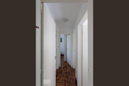 Corredor de apartamento para alugar com 3 quartos, 78m² em Santo Antônio, Belo Horizonte