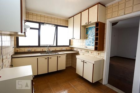 Apartamento para alugar com 230m², 4 quartos e 4 vagas Apartamento para alugar com 230m², 4 quartos e 4 vagasCozinha