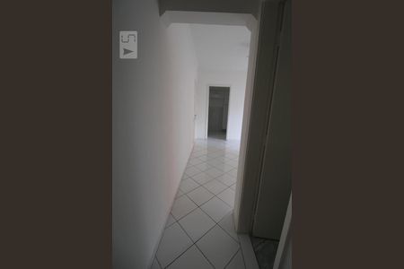 Corredor de apartamento para alugar com 1 quarto, 45m² em Cambuí, Campinas