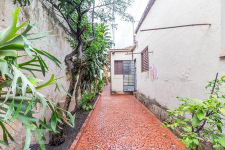 Casa para alugar com 294m², 4 quartos e sem vaga Casa para alugar com 294m², 4 quartos e sem vagaQuintal