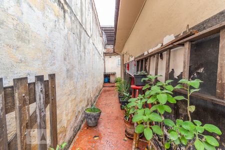 Casa para alugar com 294m², 4 quartos e sem vaga Casa para alugar com 294m², 4 quartos e sem vagaQuintal