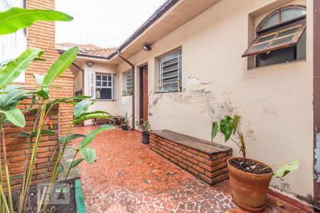 Casa para alugar com 294m², 4 quartos e sem vaga Casa para alugar com 294m², 4 quartos e sem vagaQuintal