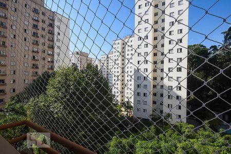 Vista de apartamento à venda com 3 quartos, 70m² em Vila Andrade, São Paulo